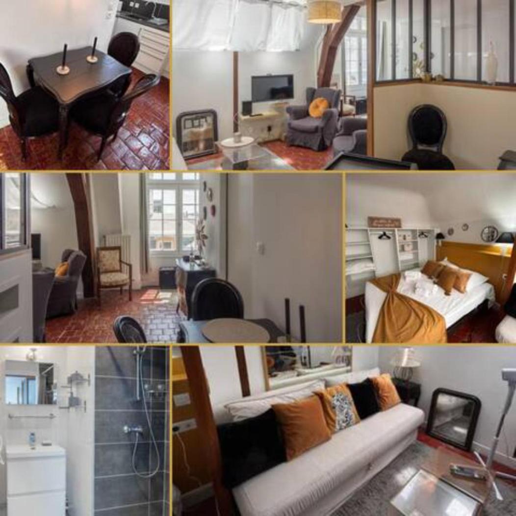 Le Sainte Anne *Studio* Daire Orléans Dış mekan fotoğraf